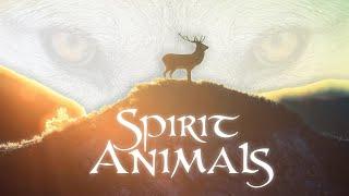 Uncovering the Power of Spirit Animals: A Journey into Their Mystical World