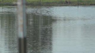 "You'll kill these counties": East Texans push back against controversial aquifer drilling plan
