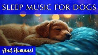 12-Hour Sleep Soundtrack for Dogs & Humans: Comforting Music for Sleep and Calm