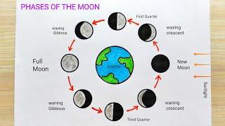 Moon phase drawing step by step | Moon phase diagram drawing | How to draw phases of the moon