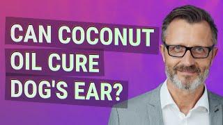 Can coconut oil cure dog's ear?