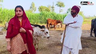 Dadhiyan Ranaan \ New Punjabi Short Movie \ Rimsha Hussain Motivational Film@BataProductionOfficial