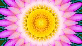 Splendor of Flowers Kaleidoscope Video Beta v3 with TITLES and VALUES - A Worldwide Banking Jubilee