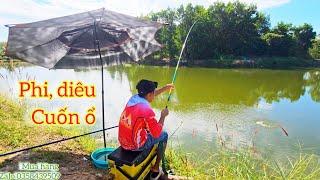 Fishing | Câu Đài | Tâp 275 | Trời Lạnh Diêu Hồng , Phi Nó Cuốn Ổ Hồ Bán Thiên Nhiên | Nghiện Câu TV