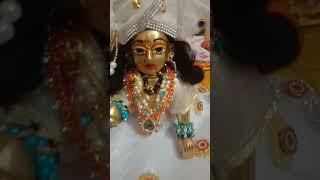 kanha ki jai jaikar #mereladdugopal  #kanhashorts  #lordkrishna