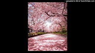 [FREE] Hyper Pop x Yameii x Deko Type Beat "color" | Free Type Beat | Rap Trap Beats