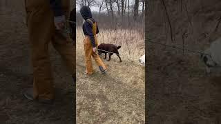 Hiking with the dogs in our beautiful Spring snow. #dogs #dogdaycare #snow #dogtraining