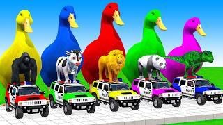 5 Giant Duck Cartoon, Cow, Mammoth, Elephant, Lion, Paint Wild Animals Crossing Fountain Animation