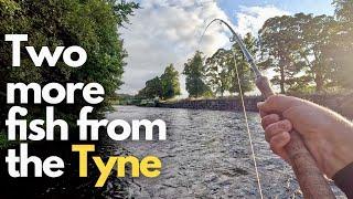 Seatrout and Salmon Fishing on the River Tyne