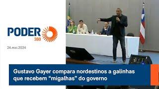 Gustavo Gayer compara nordestinos a galinhas que recebem “migalhas” do governo