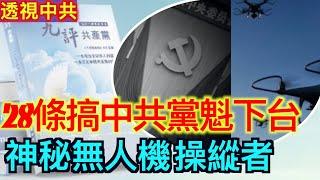 美國神秘無人機的背後操縱是誰？|連署信曝光28條要求中共黨魁下台【抗共潮-合集】20241219