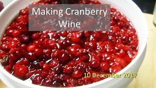 Making Cranberry Wine