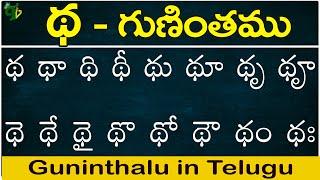 థ గుణింతం | Ttha gunintham | How to write Telugu Ttha guninthalu | Telugu varnamala Guninthamulu