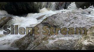 "Silent Stream" Official Video from Steve Welch Ontario