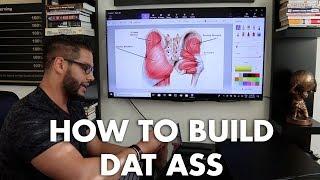 Glute Anatomy and Training Tips 101! | FLEX Daily 274