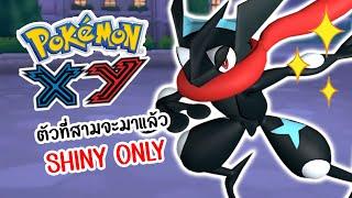 [LIVE] หาสีแปลกตัวที่สาม POKEMON XY SHINY ONLY