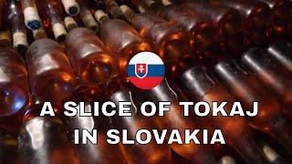 Slovak Wine: Exotic Wine Travel in Slovak Tokaj