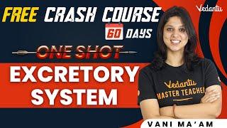 Excretory System in One Shot | Class 11 Biology | NEET 2023 | Free NEET Crash Course | Vedantu