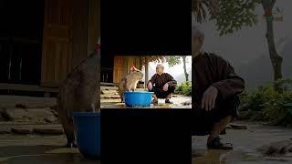 Lão Và Capy | Capybara dành chỗ ngồi quán coffee #veo3 #viral #funny #laovacapy #spacemedia