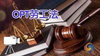 OPT如何利用劳工法保护自己？/OPT labour laws