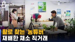 코로나 불황 속 활로 찾는 '농튜버' / SBS