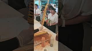 2025년 춘천감자 페스타 #회오리감자 #kpotatolab #임영석감자연구소
