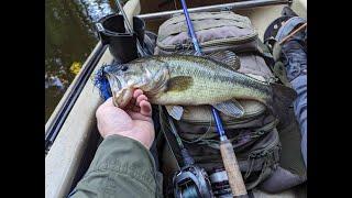 Black And Blue Jigs Save The Day Kayak Fishing A Clear River in Michigan!