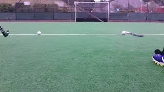 Drag Flick Training August 2017