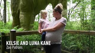 Binder Park Zoo reopens with safety precautions in place amid coronavirus pandemic