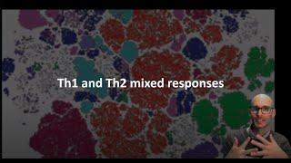 What are Th1/2 Mixed Responses?