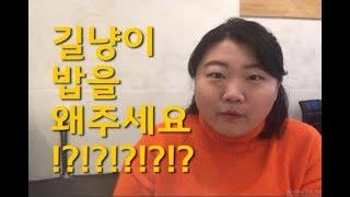 길냥이 밥 왜 주냐구요? _ 초보캣맘들 위한 꿀팁