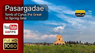 Pasargadae - Tomb of Cyrus the Great - Spring Walk