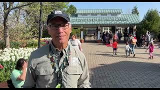 150-Second Stories -  Episode 1: Cincinnati Zoo 150 Years