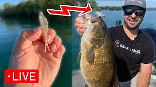 NEW Lures & Techniques for BIG Smallmouth (Great Lakes Finesse)