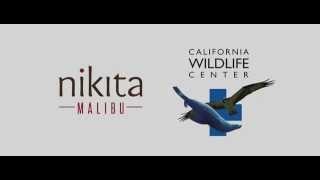 Nikita Malibu Supports the California Wildlife Center