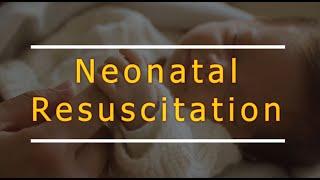 Neonatal resuscitation NRP... and practice scenario