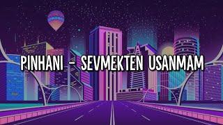 Pinhani - Sevmekten Usanmam (Lyrics - Şarkı Sözleri) Aesthetic Edit