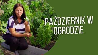 październik w ogrodzie