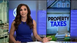 South Florida Homeowners And Business Rocked By Rising Property Taxes