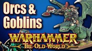 Orc & Goblin Tribes One Year After The Release of Warhammer The Old World