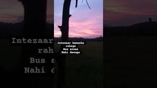 lost love ️