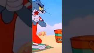 Tom And Jerry Bangla #comedy #funnyvideos