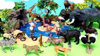 Groups of African Animals - Learn Animal Names for Kids