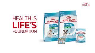 The Ideal Foundation to a Healthy Life | Royal Canin Puppy Growth Program​