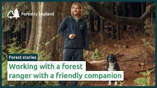 Working as a forest ranger with your dog | Meet Rob and Bill