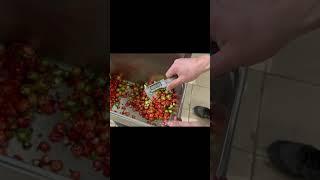 Нарезка перца чили #shorts #оборудование #производство #процесс #мясо #овощи