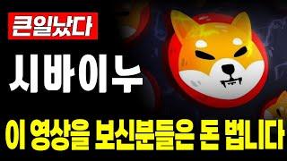 [ 시바이누 코인 전망 ] 시바이누코인 돈 벌어 갑니다 #shib #시바이누코인 #시바이누 #시바이누전망 #밈코인 #대선관련주 #코인추천