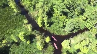 New Orleans Kayak Swamp Tours -Manchac Kayak Swamp Tour