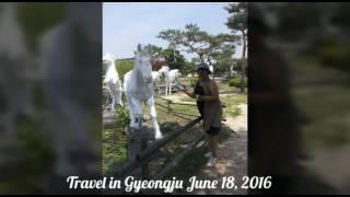 In Gyeongju Pulgaksa and the tomb of the King visit.