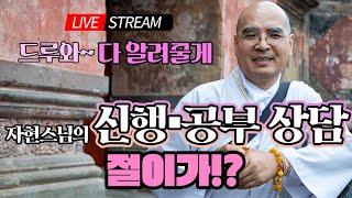 수계와 법명을 여러번 받으면? 사시기도의 원리와 공덕 쌓는 원리 - 자현스님의 절이가!?